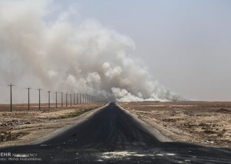 خوشحالی برای بی‌سواد ماندن