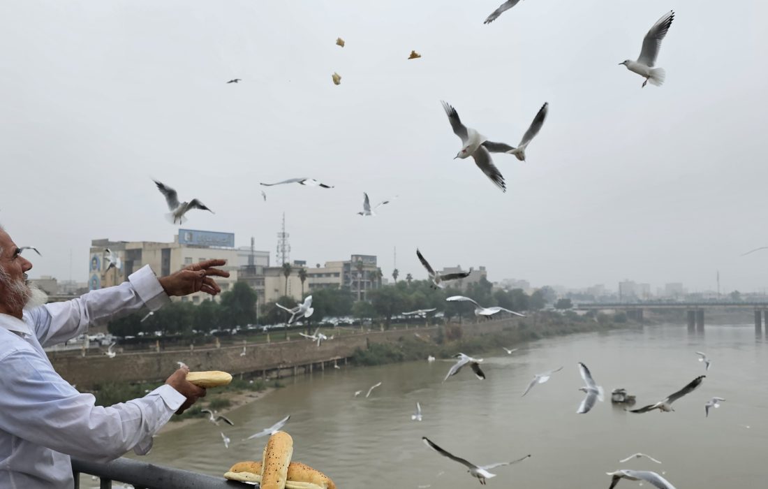 صبحِ بی‌صدا؛ وقتی پیرمرد و کارون دوباره یکدیگر را صدا کردند