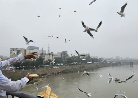 صبحِ بی‌صدا؛ وقتی پیرمرد و کارون دوباره یکدیگر را صدا کردند