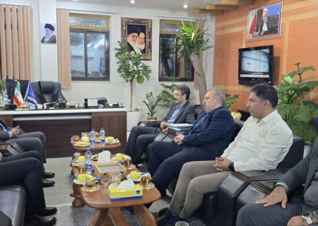 تاکید بر صیانت از تولید در نشست مدیرعامل فولاد اکسین با سرپرست صمت