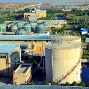 طلوع «الکل» در بازار سرمایه؛ گام تازه نیشکر برای توسعه و سهامداری کارکنان