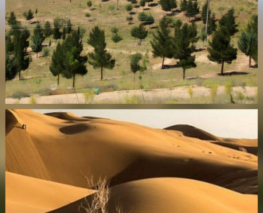 هشدار بازگشت ریزگرد داخلی خوزستان؛ نقشه راه منابع طبیعی برای بیابان‌زدایی با «روان‌آب» و «مشارکت مردم