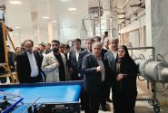 سرمایه‌گذاری ۴.۲ همتی «نسیم سحر» برای تقویت زنجیره تولید و امنیت غذایی در خوزستان
