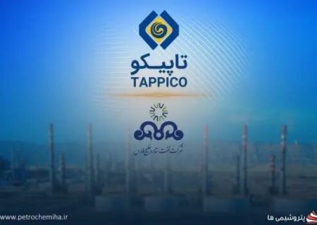تاپیکو در مسیر گسترش همکاری‌های تجاری با افغانستان